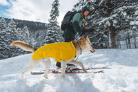 Ruffwear Vert Jacket - USED GEAR - FINAL SALE